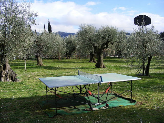 Oberoende Studio Carros 46216