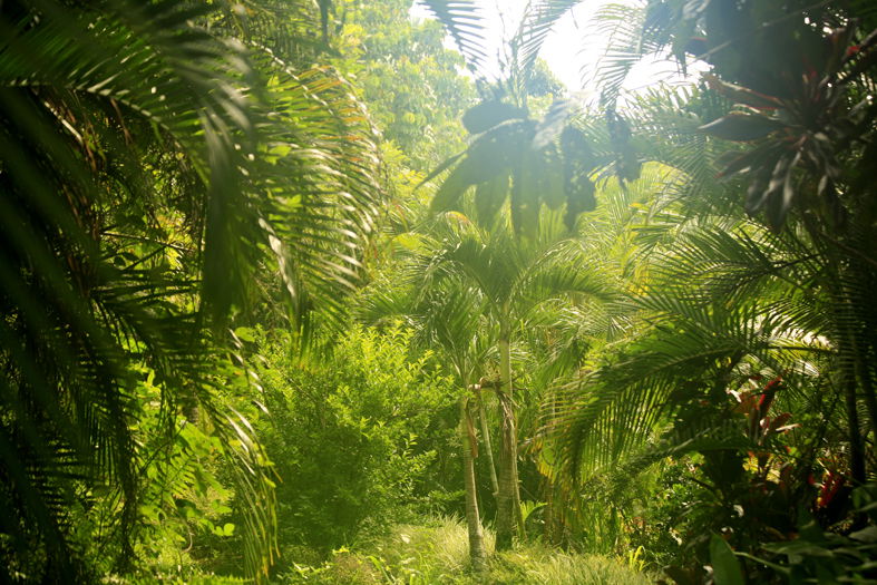 Homestay Utchee Creek 102030