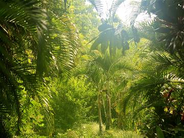 Homestay Utchee Creek 102030-4