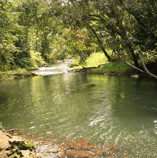 Homestay Utchee Creek 102030