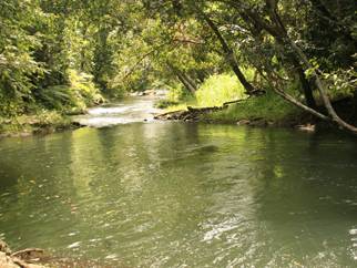 Homestay Utchee Creek 102030-5