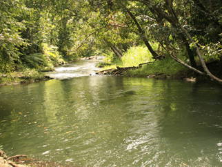 Chambre Chez L'habitant Utchee Creek 102030-5