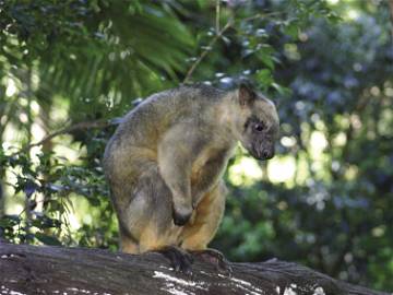 Homestay Utchee Creek 102030-6