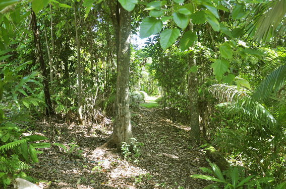 Homestay Utchee Creek 102030