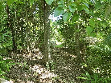 Homestay Utchee Creek 102030-7