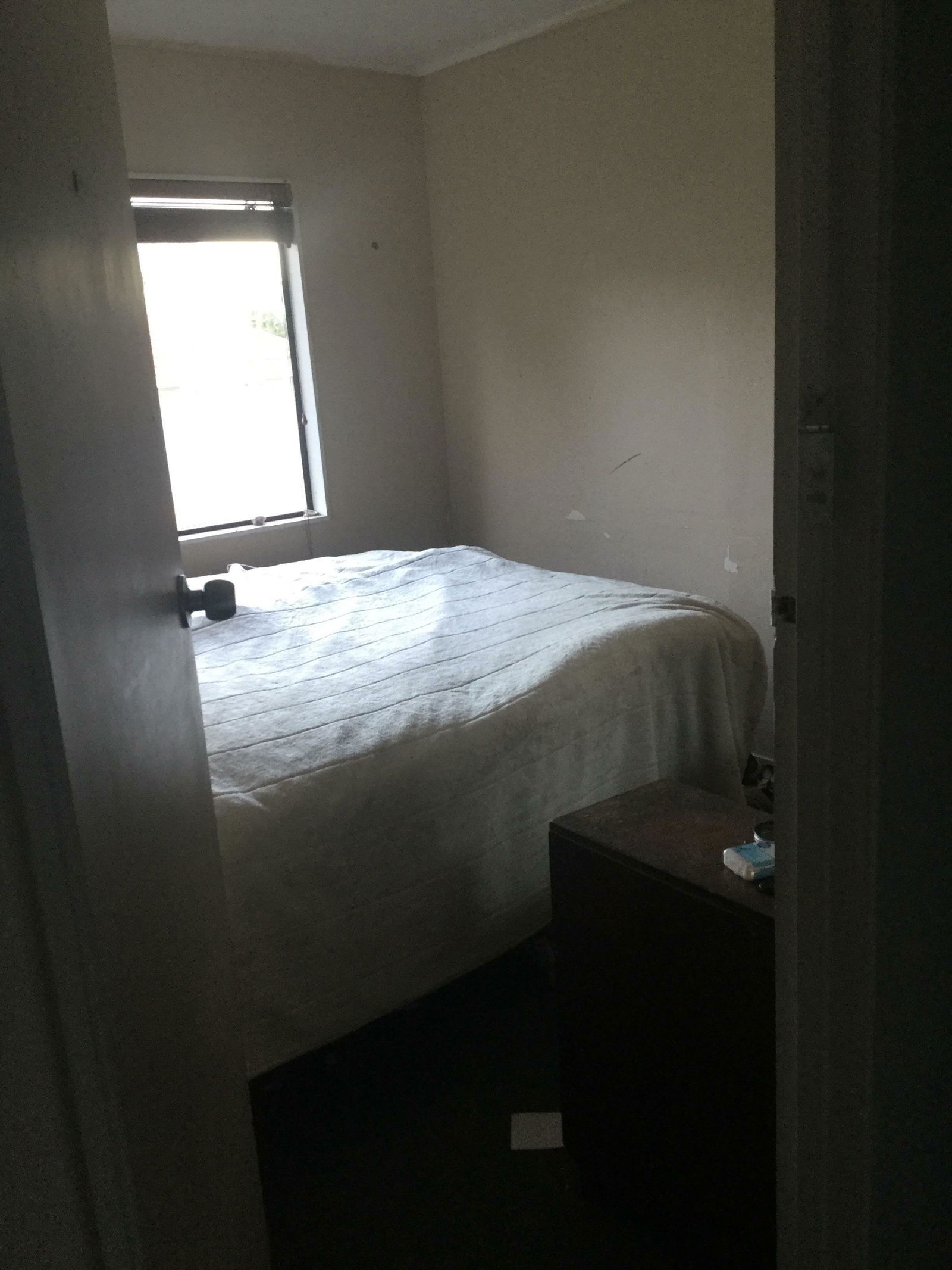 Homestay Auckland 148590