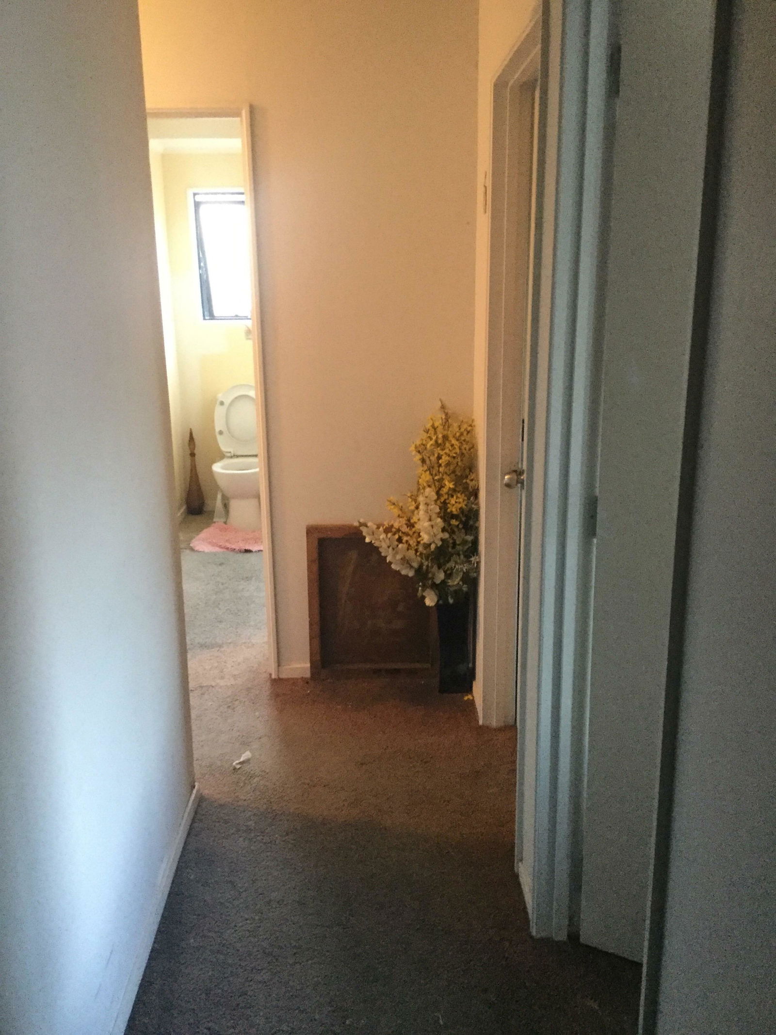 Homestay Auckland 148590