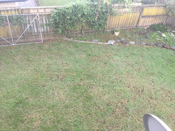 Chambre Chez L'habitant Auckland 148590-11