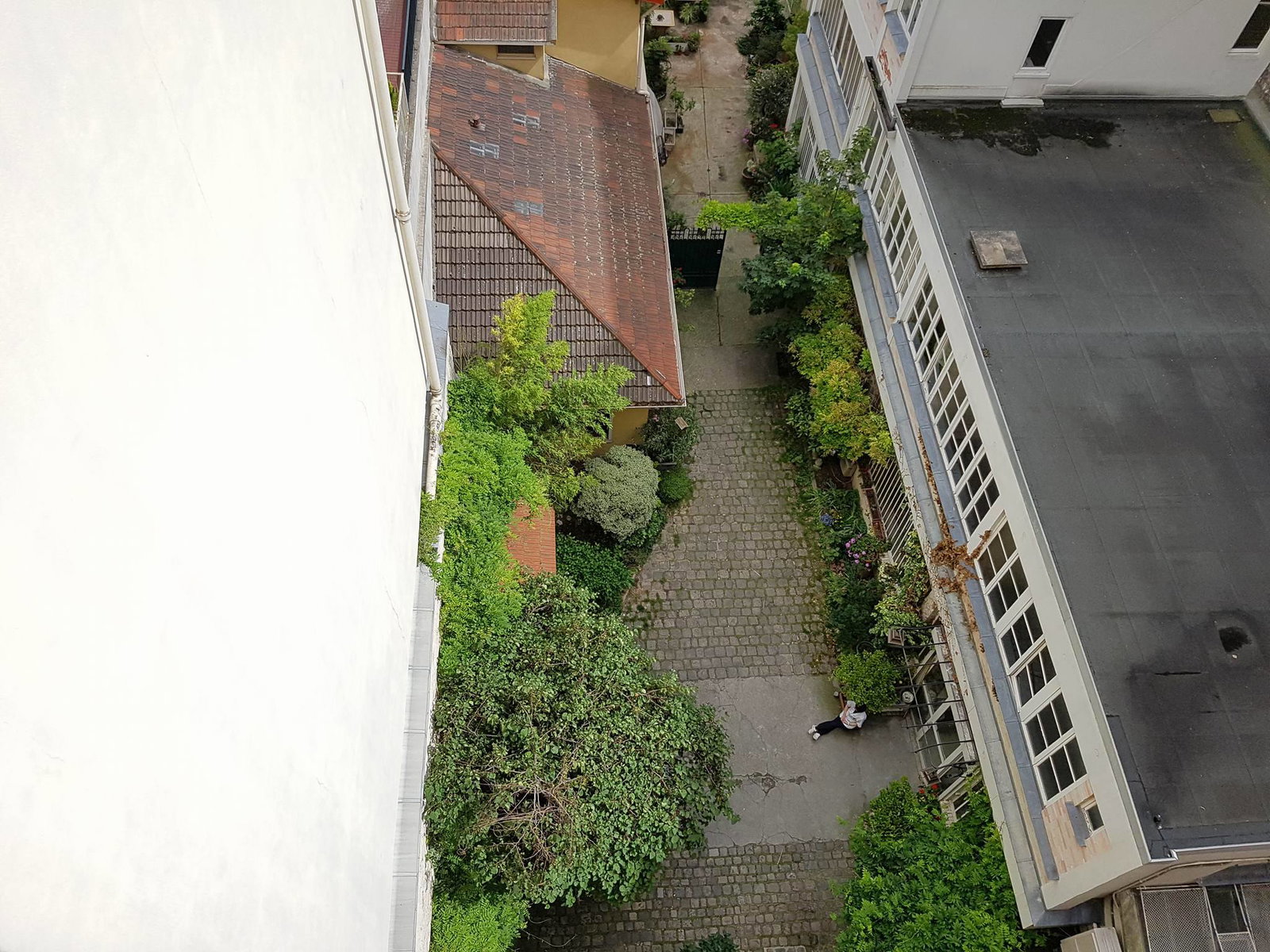 Famiglia Paris 340013