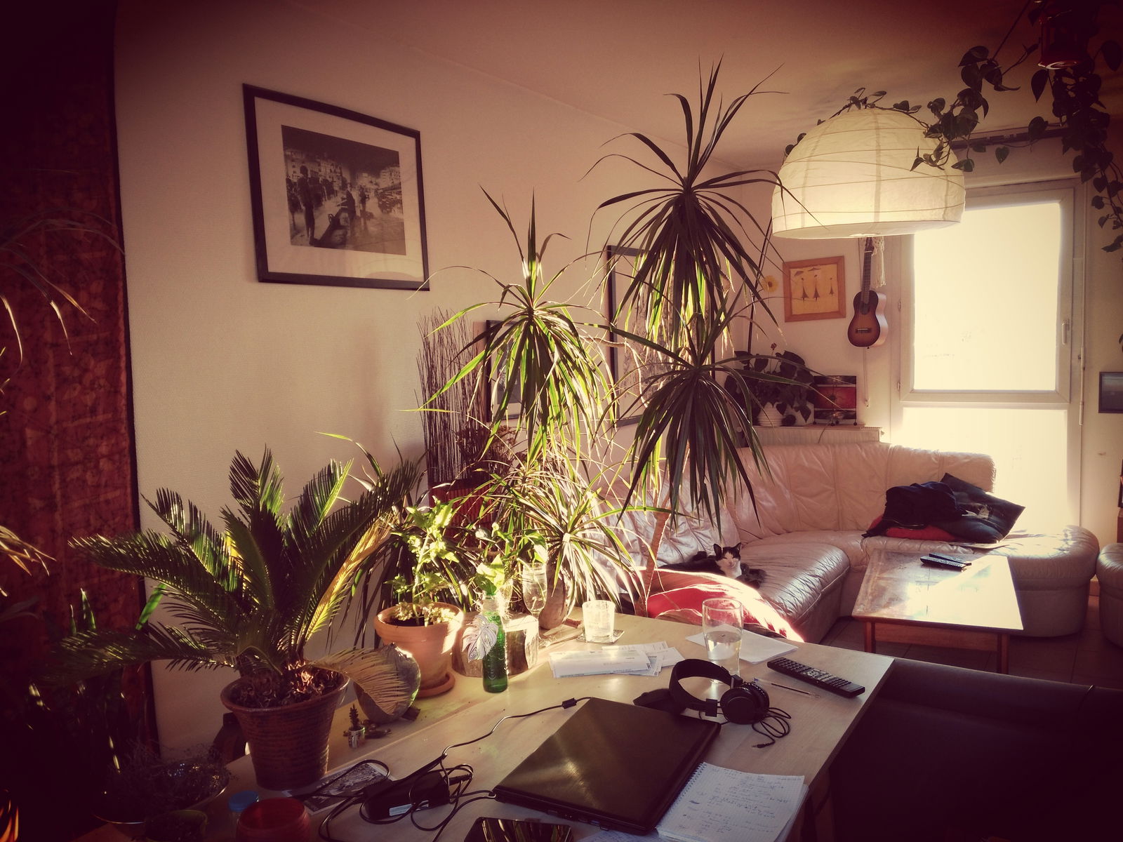 Colocation Villeurbanne 185971