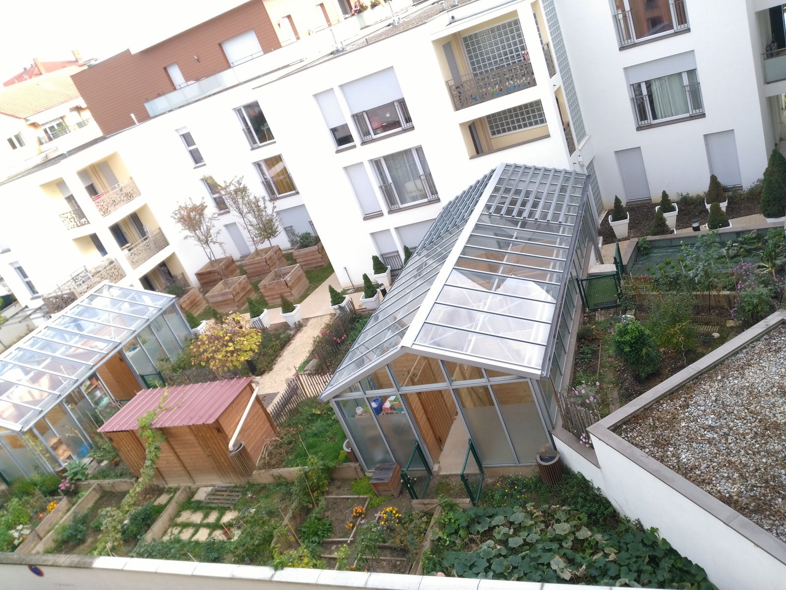 Colocation Villeurbanne 185971