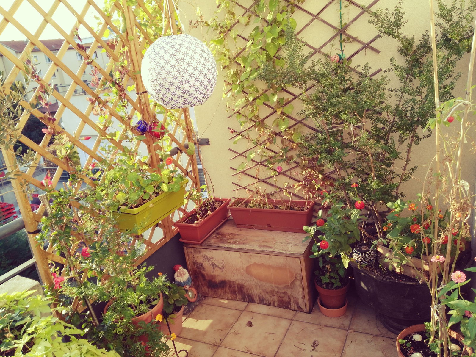 Colocação Villeurbanne 185971