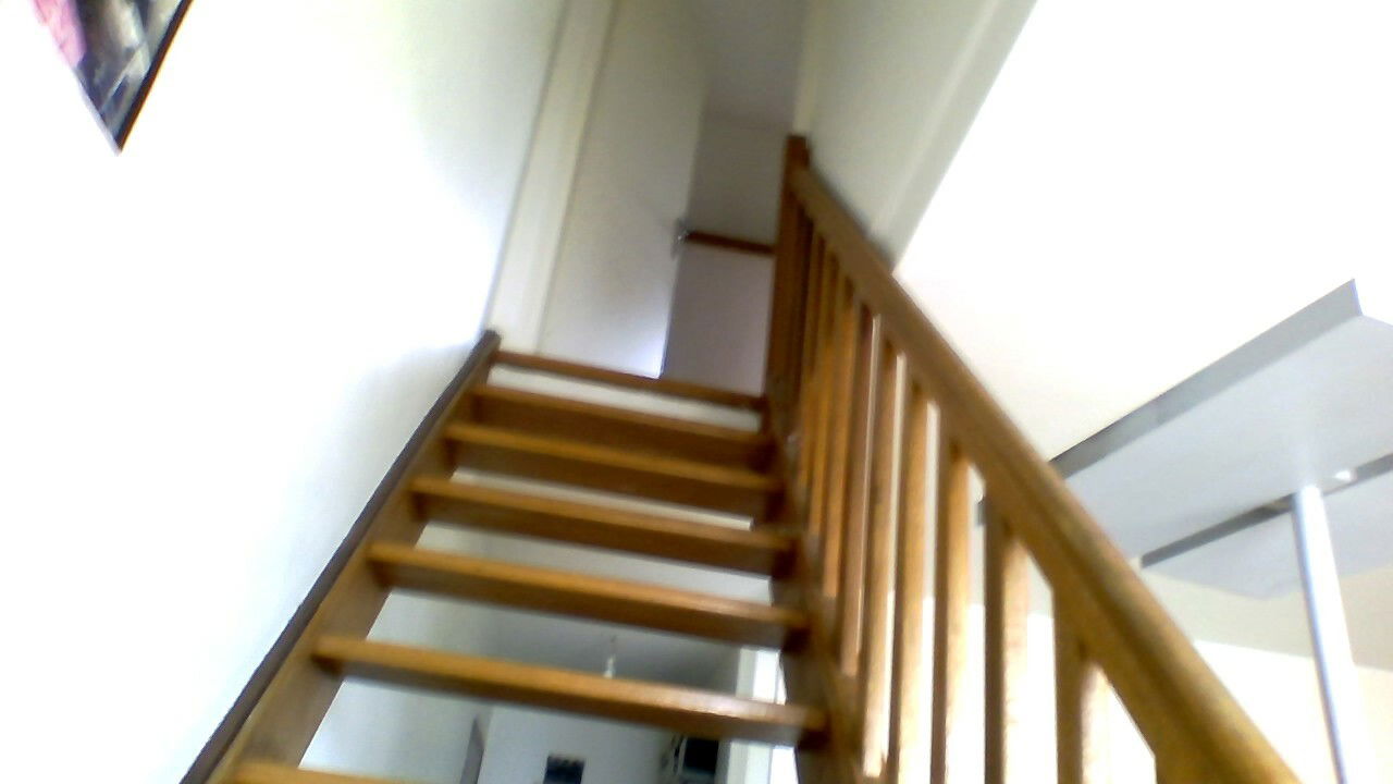 Kolokation Triel-sur-Seine 91644