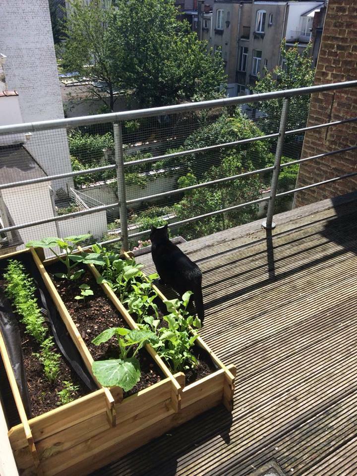 Kolokation Uccle 157308