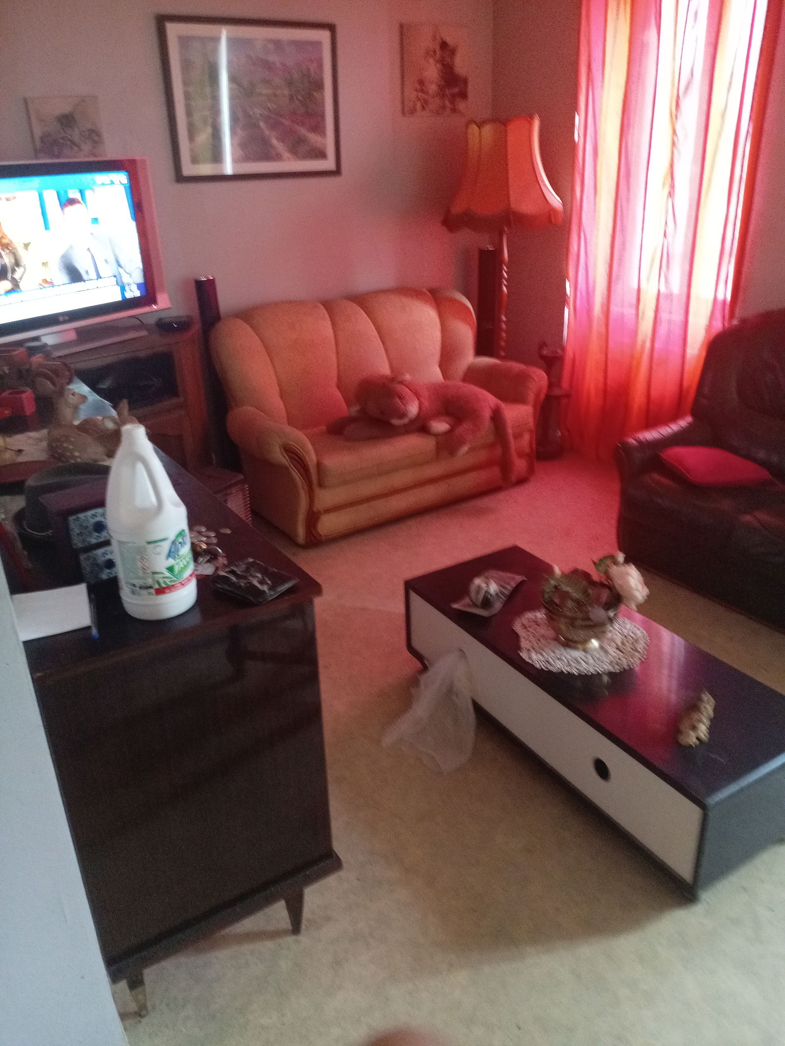 Gastfamilie Saint-Jean-d'Angély 543365