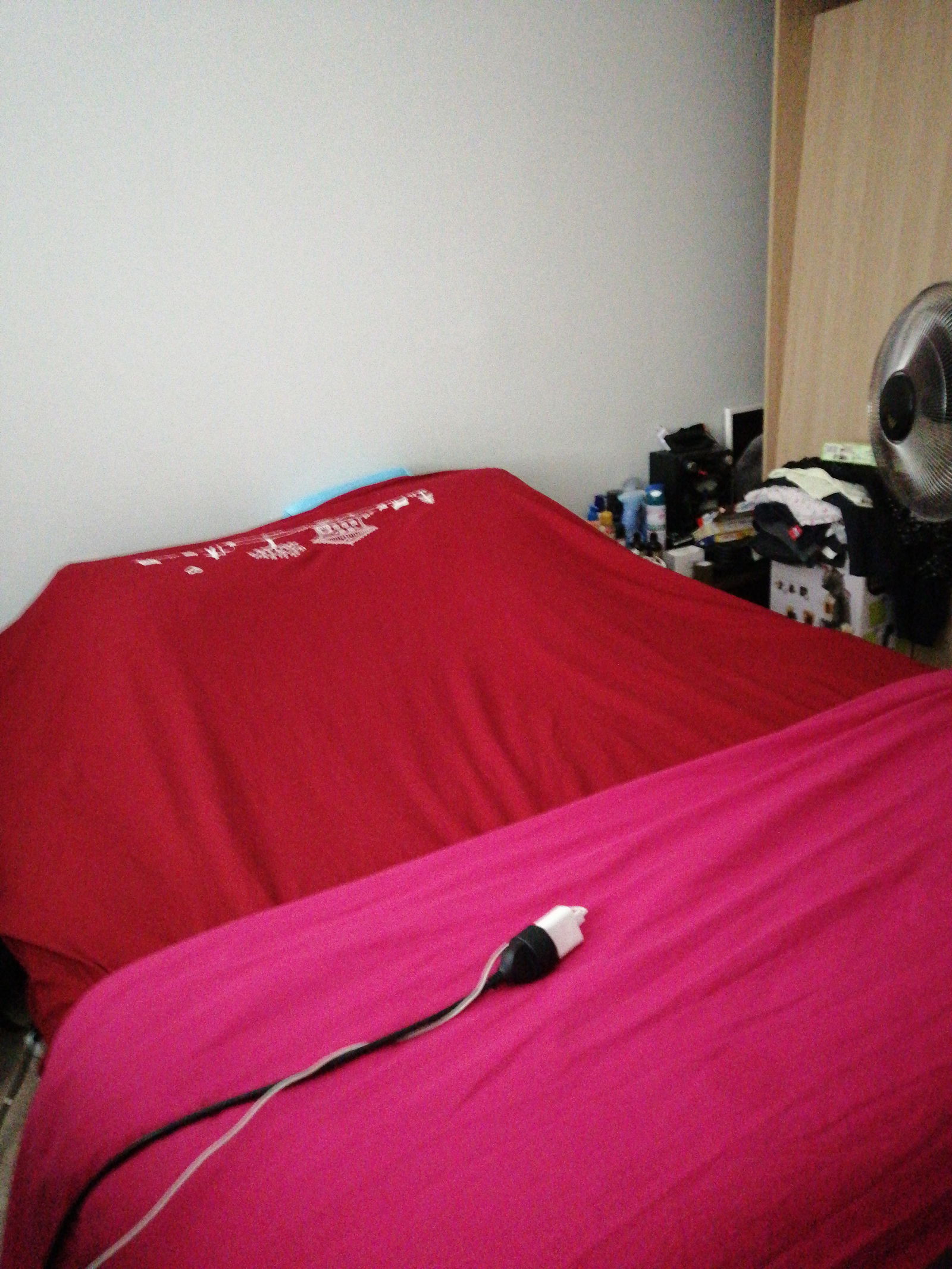 Kolokation Colmar 250031