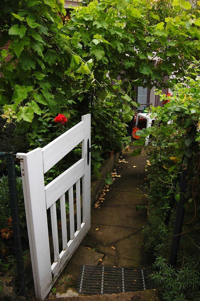 Kolokation Alfortville 126497