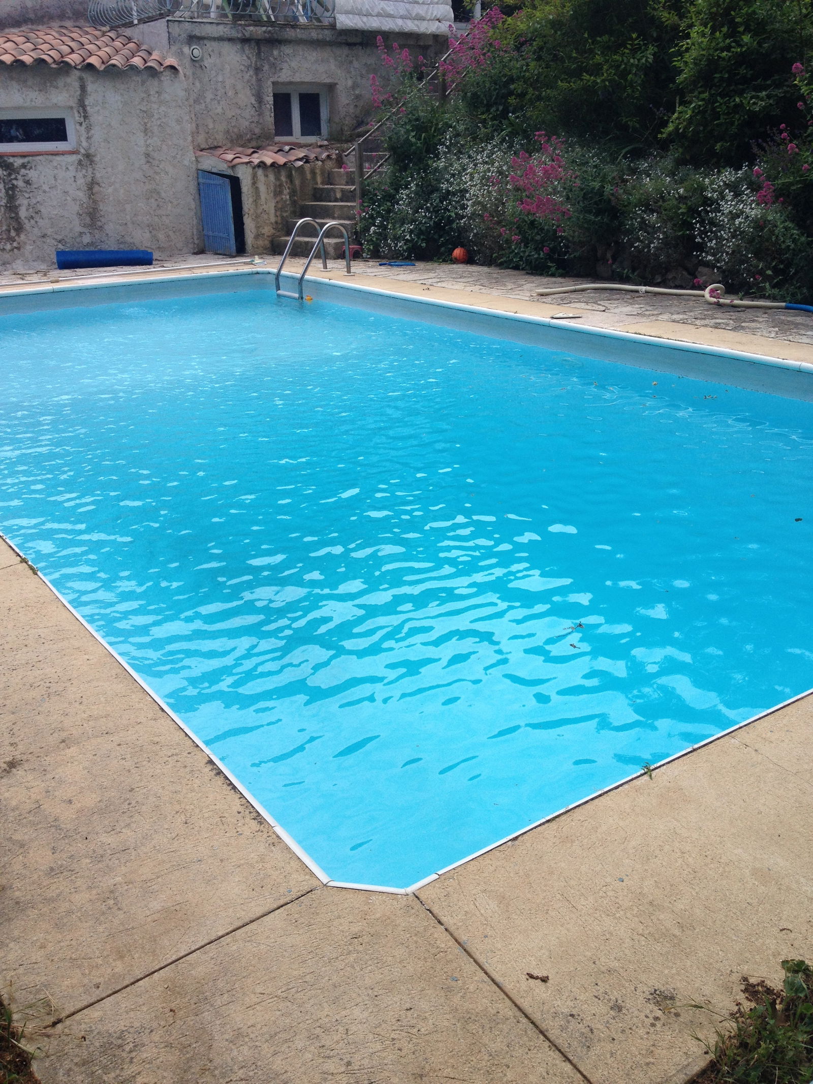 Kolokation Mimet 113149