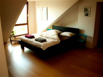 Roomlala | Suite 35 M² Dans Maison Unifamiliale