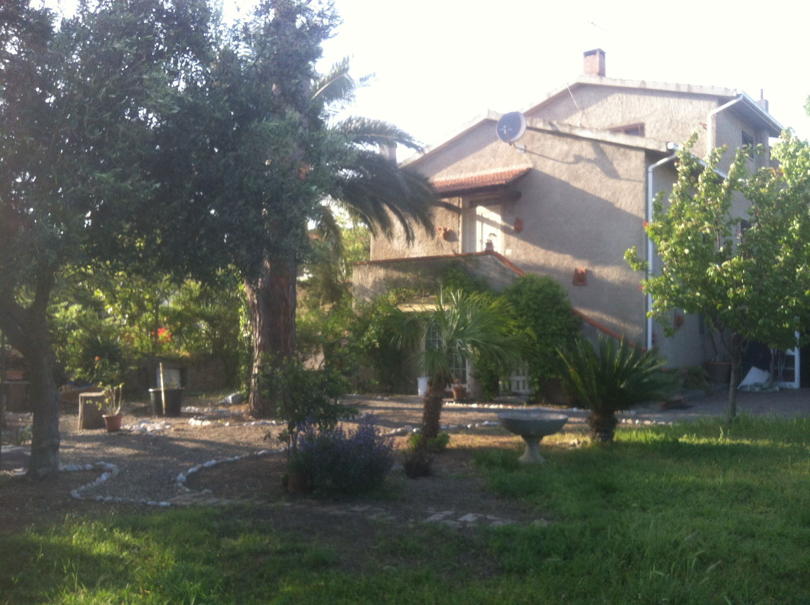 Gastfamilie Rosignano Solvay-Castiglioncello 170545