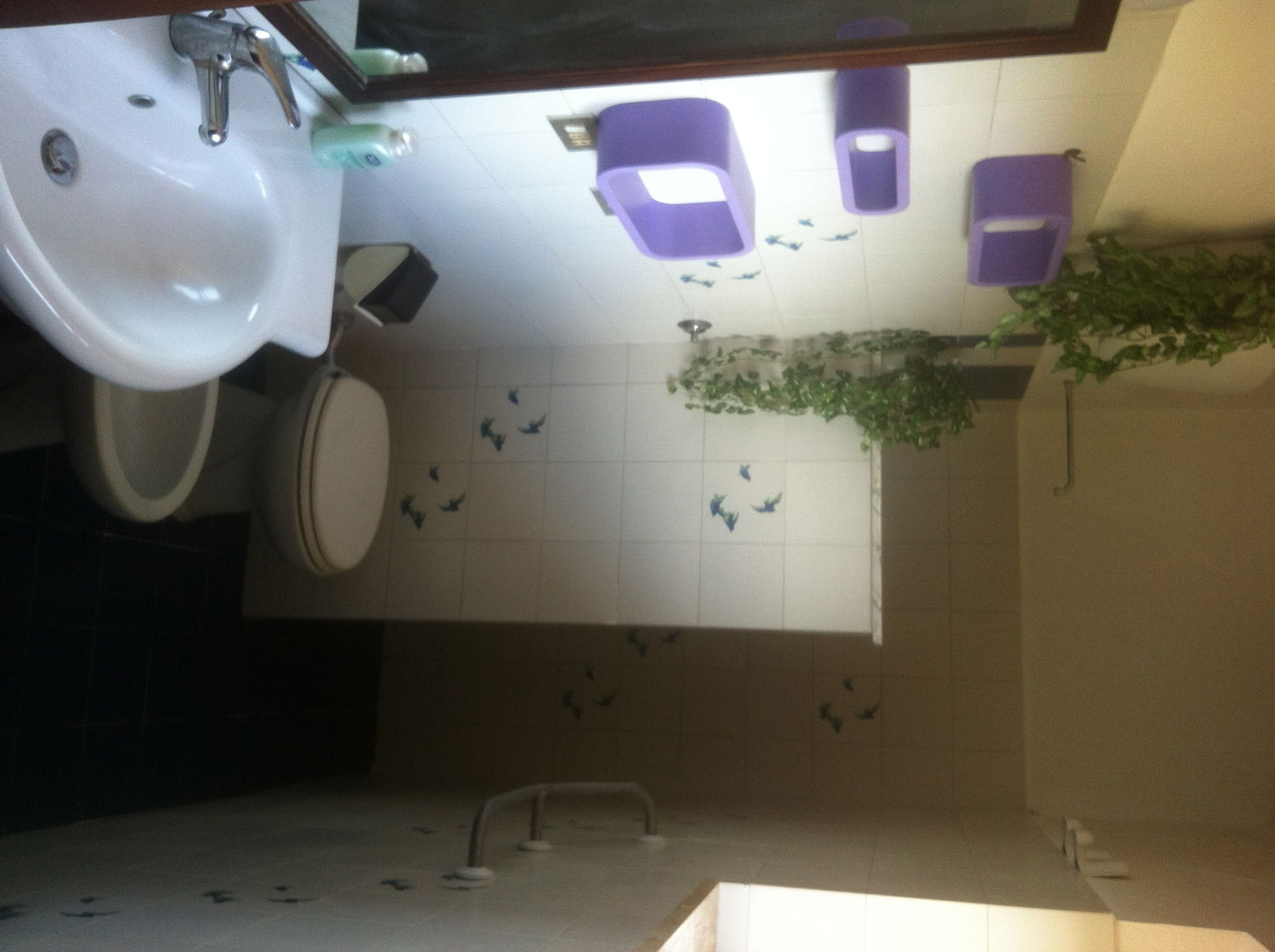 Homestay Rosignano Solvay-Castiglioncello 170545