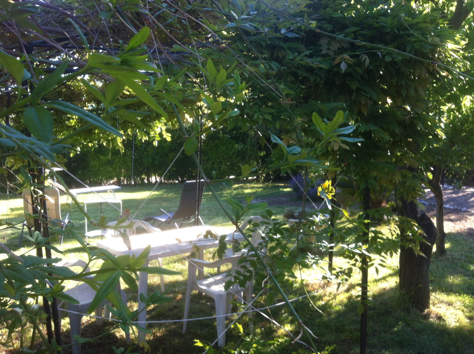 Homestay Rosignano Solvay-Castiglioncello 170545