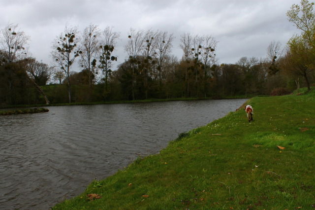 Habitaciones De Huéspedes Saint-Patrice-de-Claids 25509