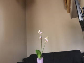 Habitaciones De Huéspedes Saint-Emilion 46151-3