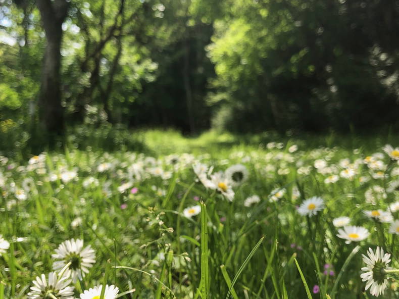 Gæsteværelser Pourrain 646033-3