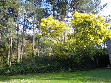 Chambre À Louer Prunelli-Di-Fiumorbo 218679