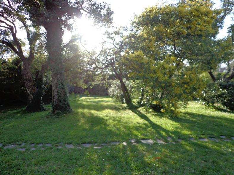 Hele Huis Prunelli-di-Fiumorbo 218679-3