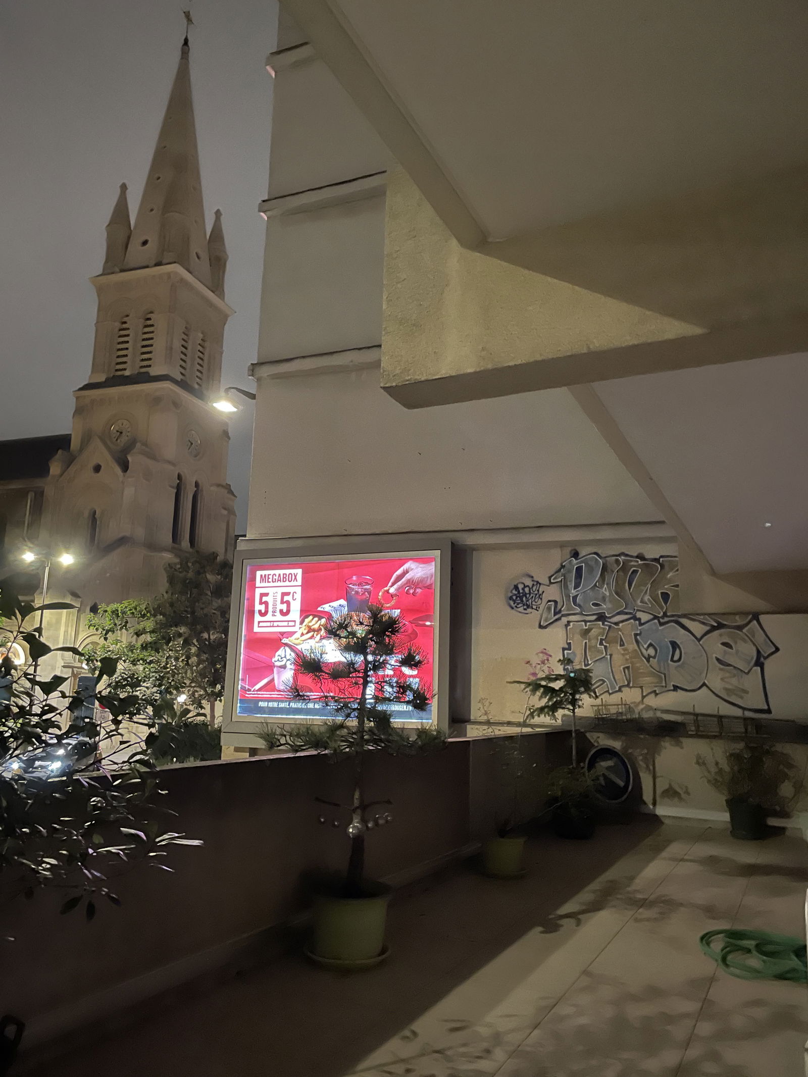 Kolokasie Paris 446348