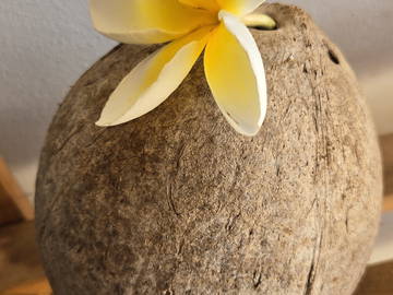 Chambre Chez L'habitant Papeto'ai 595867-7