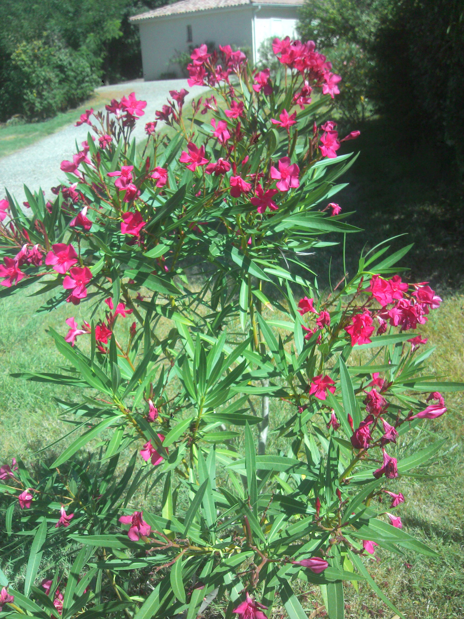 Zakwaterowanie U Rodziny Lherm 88450