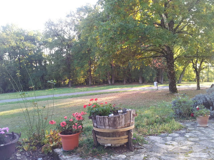 Colocación Saint-Privat-des-Prés 194387