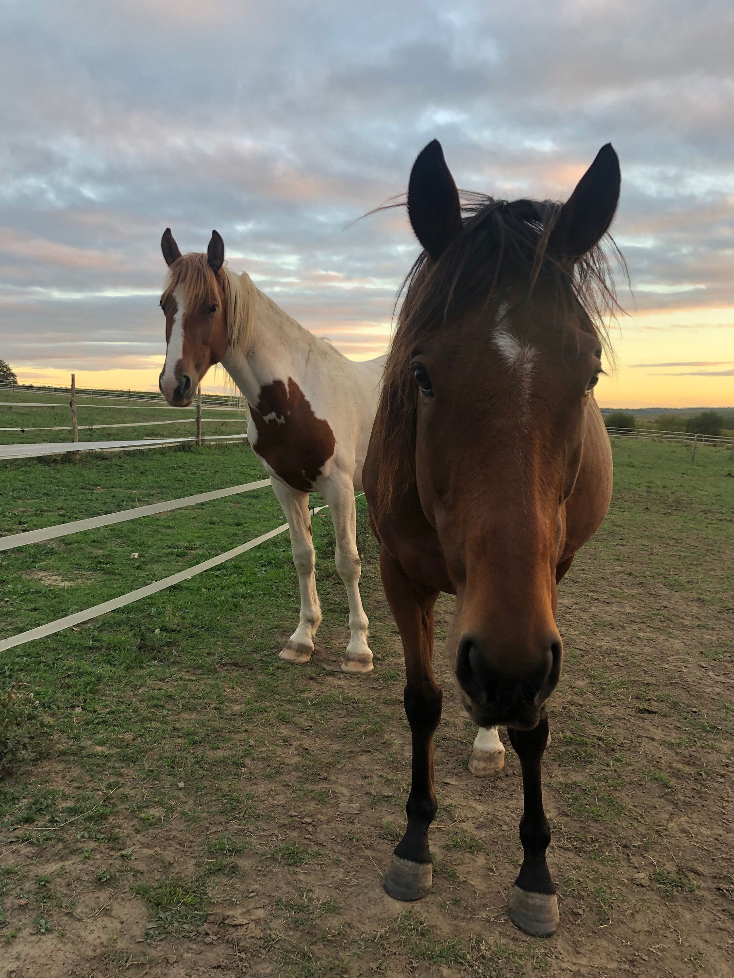 Gastgezin Sainte-Maure-de-Peyriac 578554