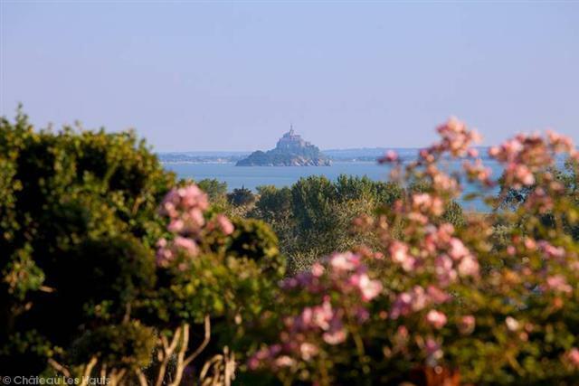 Bed And Breakfast Saint-Jean-le-Thomas 40423