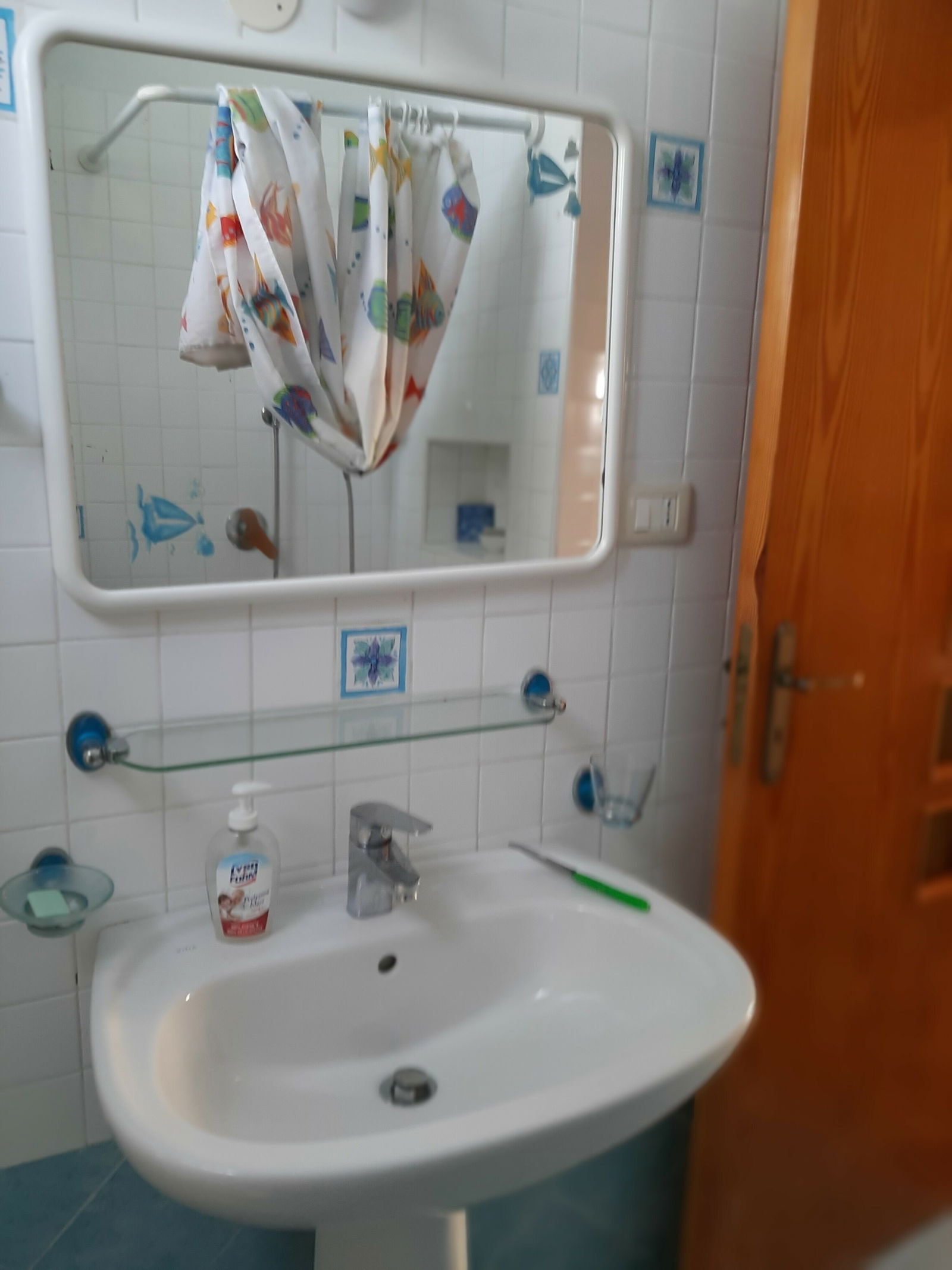 Niezależne Studio Praia a Mare 246375