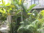 Studio Zu Vermieten Grand Baie 234792