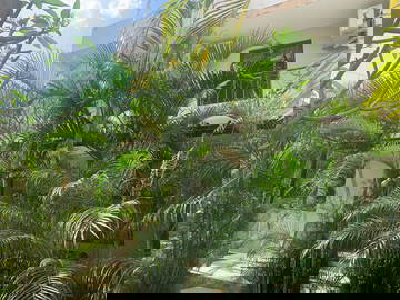 Logement Entier Grand Baie 234792-16