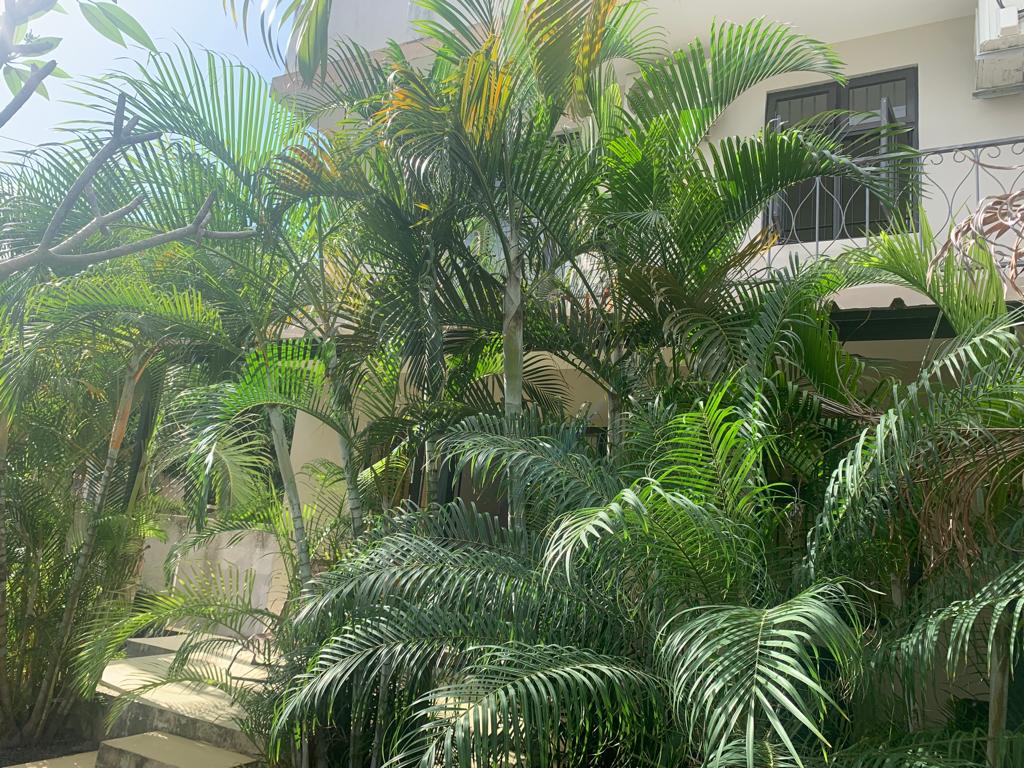 Onafhankelijke Studio Grand Baie 234792