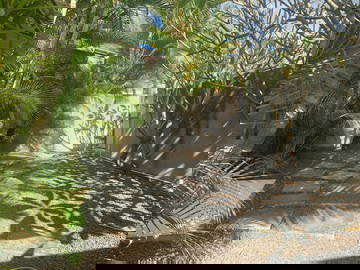 Logement Entier Grand Baie 234792-18