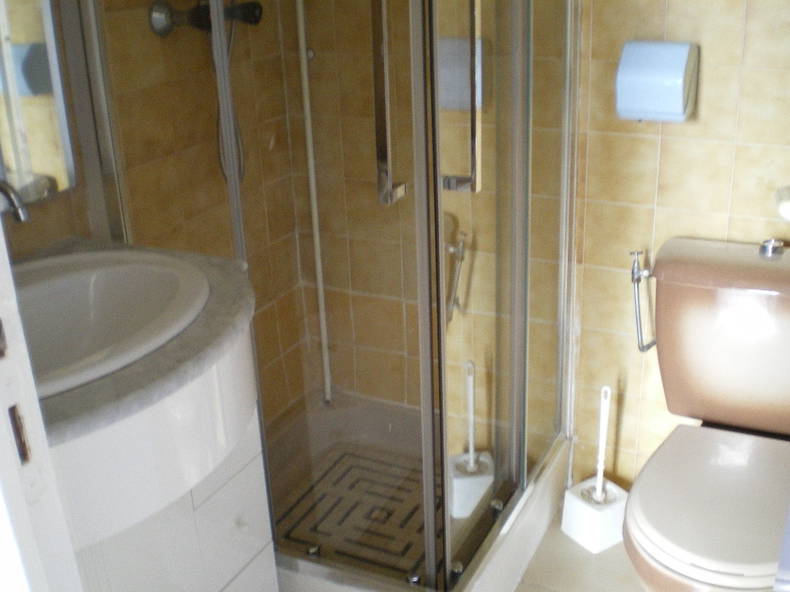 Logement Entier Santa-Maria-Poggio 158950-3