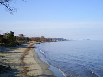 Logement Entier Santa-Maria-Poggio 158950-5