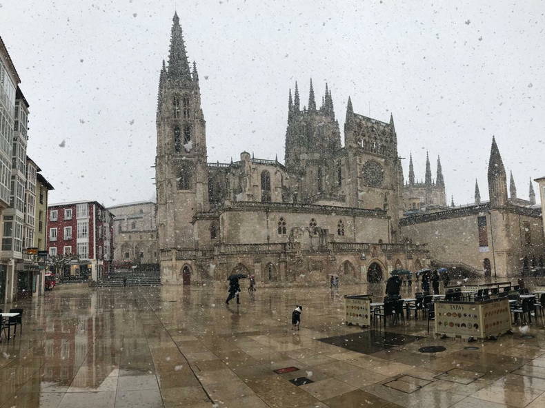 Colocación Burgos 123760-1