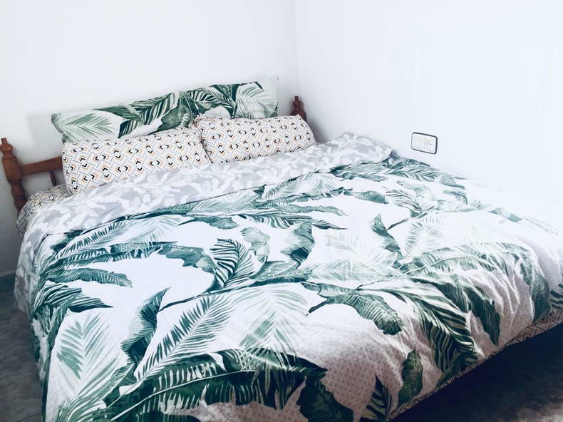 Colocation Conil de la Frontera 254768-4