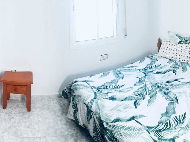 Colocation Conil de la Frontera 254768-5