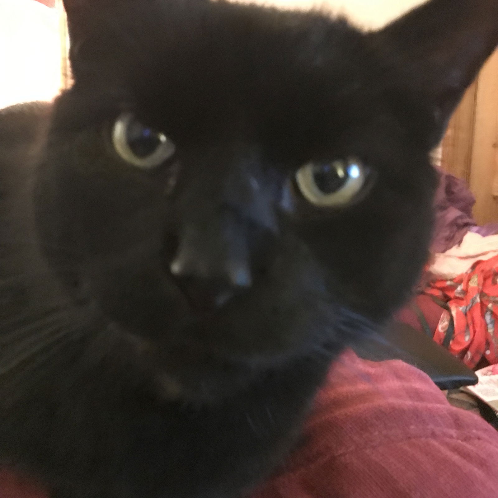 Homestay Dundee 491013