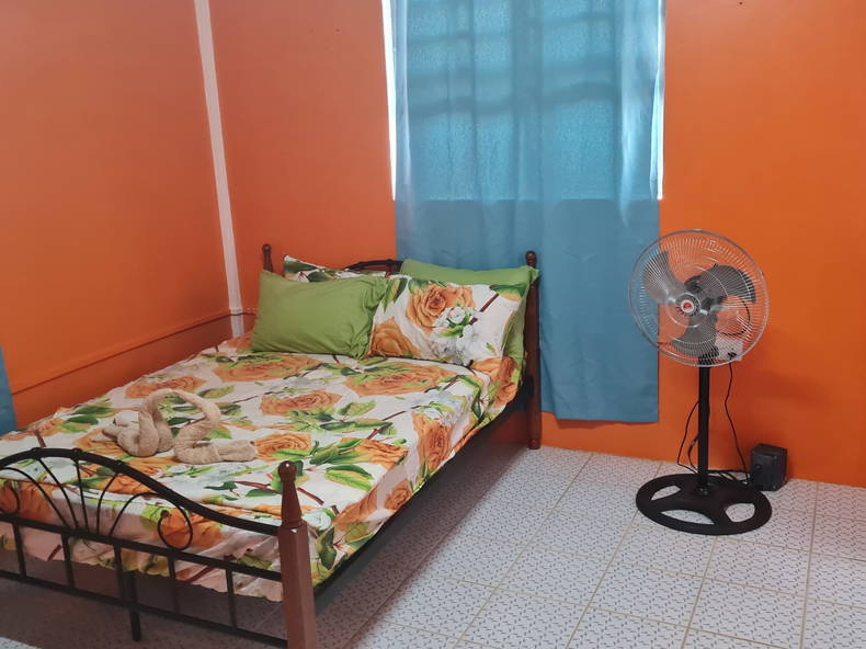 Hela Huset Canefield 263854-3