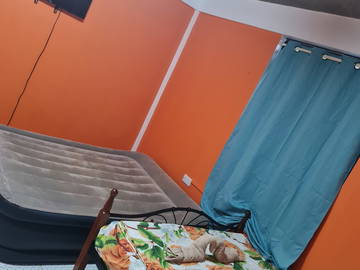 Logement Entier Canefield 263854-8